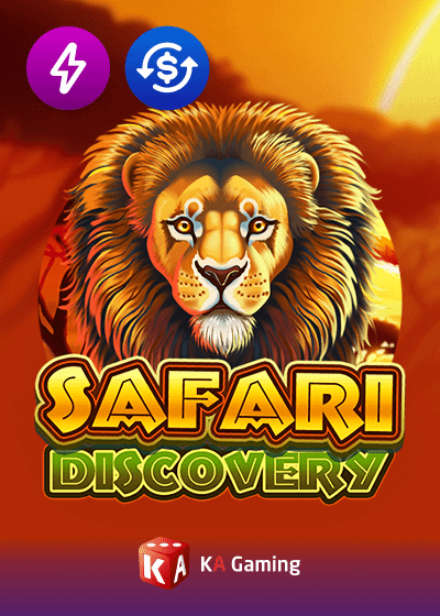 Safari Discovery
